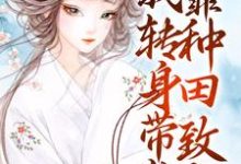 赵婉馨的小说在哪里看？免费在线阅读穿成寡妇？我转身带崽靠种田致富-银杏文学