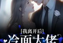 我离开后，冷面大佬红了眼眶南浅陆北墨小说在线章节目录阅读最新章节-银杏文学