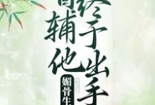 主角 凌绾绾赵怀羿小说媚骨生香：首辅他终于出手了免费阅读-银杏文学