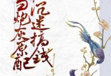 当炮灰原配沉迷搞钱小说全文阅读需要付费吗？寻找免费资源-银杏文学