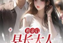 完结版《相亲后，县长大人他忍不住了》章节阅读-银杏文学