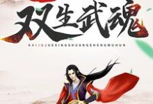 玄幻：开局觉醒双生武魂主角林枫梦情柳菲段欣叶小说完结版章节在线阅读-银杏文学