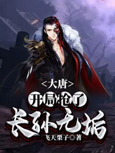 李烨长孙无垢李世民李秀宁的完整故事在哪里？读大唐：开局抢了长孙无垢小说