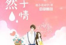 哪里能找到漓然止于情小说的全部章节？-银杏文学