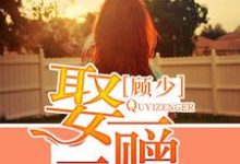 顾少，娶一赠二小说完结了吗？在哪里可以免费读到？-银杏文学