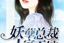 妖孽总裁，人家不嫁主角许静好顾岁安小说完结版章节在线阅读-银杏文学