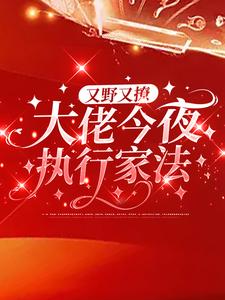 叶初初陆砚屿小说在哪里可以看