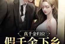 主角沈雪宁秦子洲小说真千金归位，假千金下乡暴富了免费阅读-银杏文学