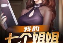 已完结小说《我的七个姐姐才貌双绝》章节在线阅读-银杏文学