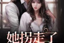 求她拐走了清冷大佬小说免费资源-银杏文学