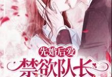 先婚后爱，禁欲队长化身绕指柔免费阅读，先婚后爱，禁欲队长化身绕指柔章节在线阅读-银杏文学