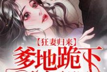 狂妻归来：爹地跪下唱征服最新章节，狂妻归来：爹地跪下唱征服免费阅读-银杏文学