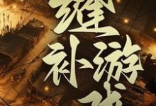 缝补游戏 陈木 夏天，缝补游戏小说免费阅读-银杏文学