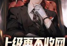 完结版《上级再不收网，我就成老大了》章节阅读-银杏文学