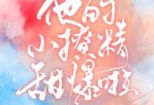 主人公叫夏绾绾江野的小说哪里免费看-银杏文学