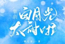 他的白月光太甜啦（时晚段泽轩）在线免费阅读-银杏文学