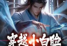 穿越小白脸，女帝只想要我免费阅读，穿越小白脸，女帝只想要我章节在线阅读-银杏文学