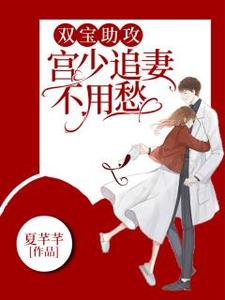 双宝助攻，宫少追妻不用愁这本小说在哪里可以看？哪里有免费试读章节？