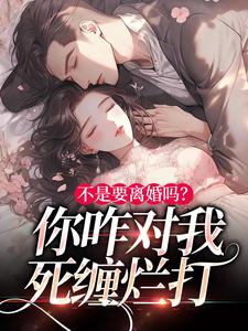 已完结小说《不是要离婚吗？你咋对我死缠烂打》最新章节