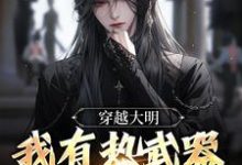 穿越大明，我有热武器正常吧？免费阅读，穿越大明，我有热武器正常吧？章节目录-银杏文学