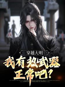穿越大明，我有热武器正常吧？免费阅读，穿越大明，我有热武器正常吧？章节目录