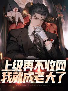 完结版《上级再不收网，我就成老大了》在线免费阅读