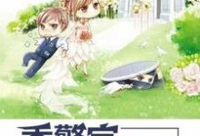 《季警官，请卧倒》全集免费在线阅读（江婉季子尘江亦坤高念念）-银杏文学