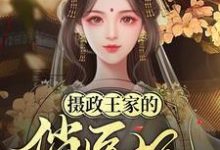 摄政王家的俏医妃小说的无弹窗阅读体验，寻找免费阅读网站-银杏文学