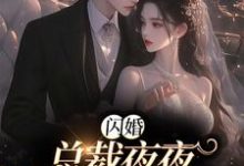 闪婚：总裁夜夜揽她入怀这本小说怎么样？免费在线阅读试试-银杏文学