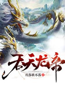 求叶枫小说免费资源