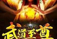 叶梵天萧泽钰刘欣王雪小说叫什么（武道至尊免费阅读）-银杏文学
