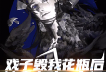 戏子毁我花瓶后，被我索赔二十亿章节免费在线阅读，关爽爽完结版-银杏文学