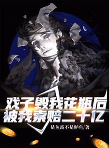 戏子毁我花瓶后，被我索赔二十亿章节免费在线阅读，关爽爽完结版