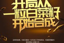 求苏晨小说免费资源-银杏文学