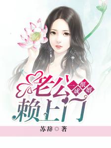 一纸成婚，老公赖上门小说，一纸成婚，老公赖上门在线阅读