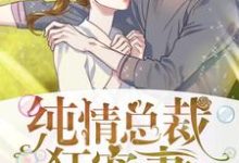 在线寻找苗一夕狄高阳的小说，纯情总裁狂宠妻免费阅读-银杏文学