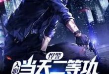 悍警：入职当天二等功，你管这叫实习生？小说完结版章节免费阅读-银杏文学