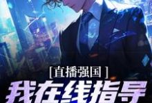 《直播强国，我在线指导做轰炸机》小说主角映南安然章节章节免费在线阅读-银杏文学