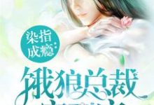 完结版《染指成瘾：饿狼总裁宠到底》章节目录在线阅读-银杏文学