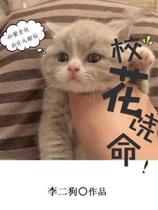哪里可以免费读到徐小北阮秋水徐小南的完整故事？寻找校花饶命