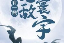 我有一鼎，无敌寰宇这本小说在哪里可以看？哪里有免费试读章节？-银杏文学