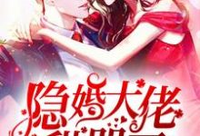 安柠凤星野为主角的小说隐婚大佬甜哭了在线阅读-银杏文学