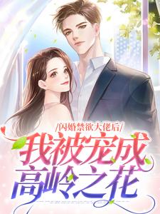 主人公历承泽苏嘉言小说闪婚禁欲大佬后，我被宠成高岭之花在线章节阅读