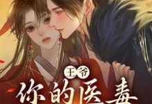 王爷，你的医毒王妃嫁到凌枫蝶萧南炎，王爷，你的医毒王妃嫁到小说免费阅读-银杏文学