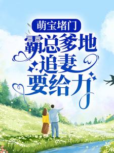 萌宝堵门：霸总爹地追妻要给力小说，萌宝堵门：霸总爹地追妻要给力在线阅读