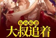 双向暗恋：大叔追着我不放小说的所有章节都能在哪里免费读到？-银杏文学