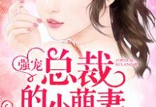 总裁的小萌妻小说，总裁的小萌妻最新章节-银杏文学