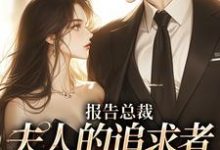 完结版《报告总裁，夫人的追求者叒多了一位》免费阅读-银杏文学