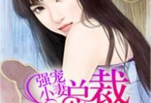 宠妻无度这本小说在哪里可以看？哪里有免费试读章节？-银杏文学