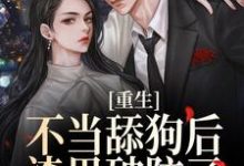重生不当舔狗后，渣男破防了小说，重生不当舔狗后，渣男破防了章节在线阅读-银杏文学